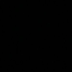 Meet your Posher, Emilee